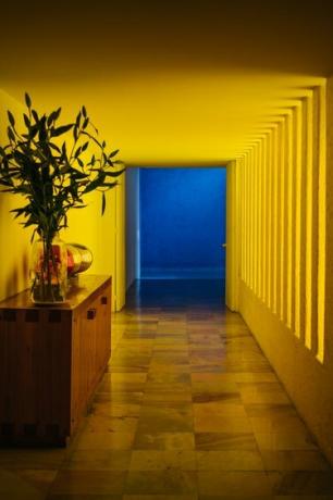 Corredor moderno amarelo que leva a uma sala azul e aparador de madeira com planta