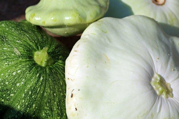 Pattypan Squash