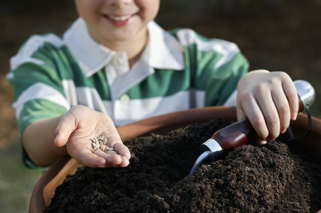 Băiat care ține o mână de semințe