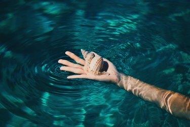 Segurando conchas na água límpida da piscina.