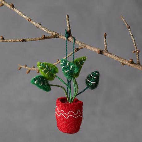 Ornamento Terrain Monstera