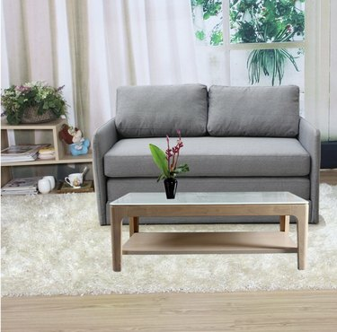 Ray Conversible Sleeper Loveseat