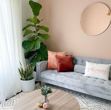 plantas mais vendidas no depósito doméstico