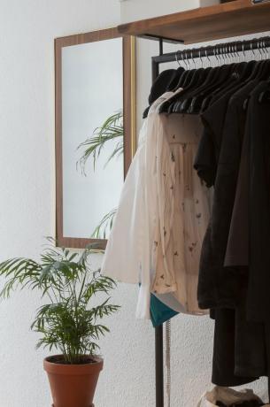Idéias de armário industrial estreitas na sala com espelho e planta