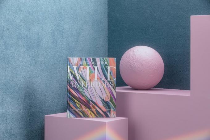 Wild Interiors di Hilton Carter, $ 19,19