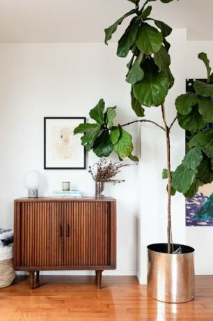 Boomplant in een metalen plantenbak, naast een houten Midcentury dressoir met een globelamp en een vaas met gedroogde bloemen.