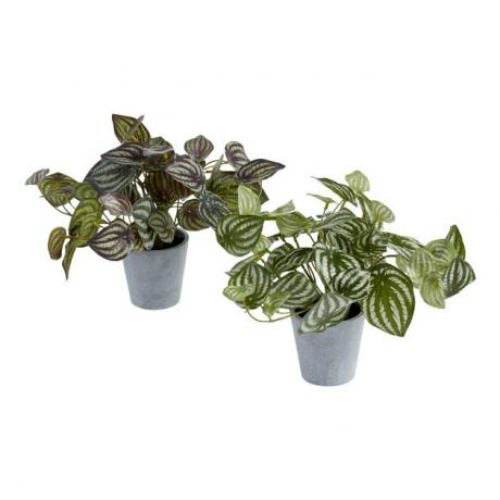 Faux Pepperomia Plant, $ 14,99