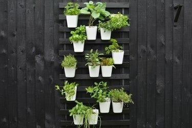 IKEA Hack: giardino verticale fai-da-te