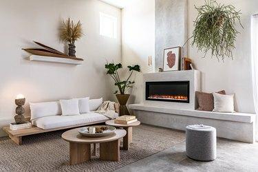 Sala de estar moderna minimalista con un tema gris neutro y plantas