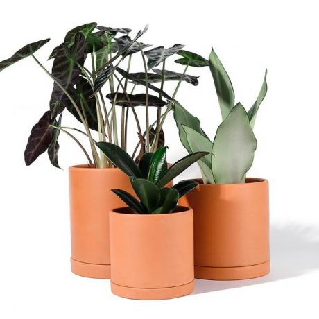 três plantadores de cilindro de terracota