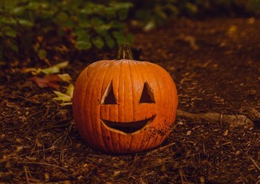 jack o lantern zucca di halloween a terra con terra e foglie