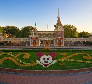 placa da Disneylândia com jardim do Mickey Mouse