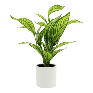 planta falsa em vaso de cimento branco