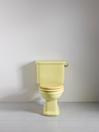 žlutá toaleta Rockwell Line od The Water Monopoly