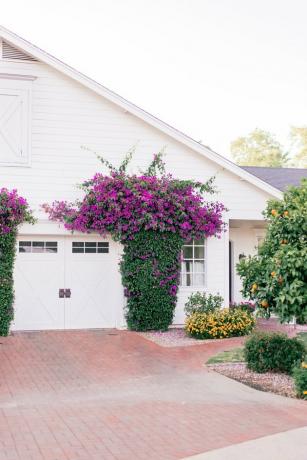 porta de garagem branca cercada por flores rosa