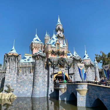 Il castello di Disneyland