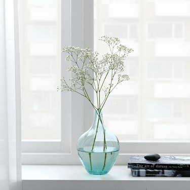 лека тюркоазена ваза с пъпки близо до бял прозорец