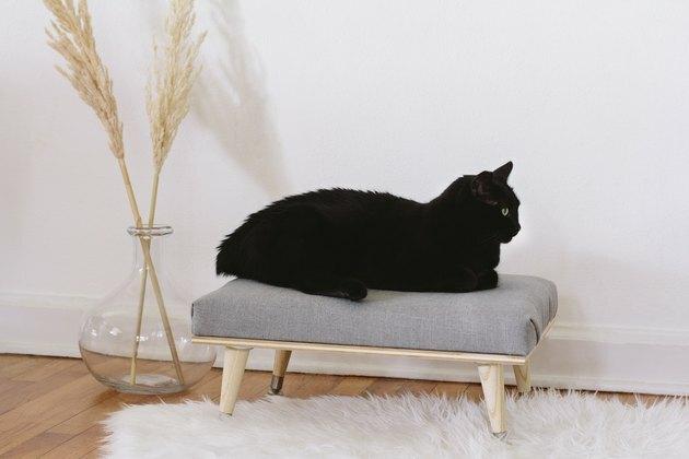 Napravite moderan minimalan krevet za mačke