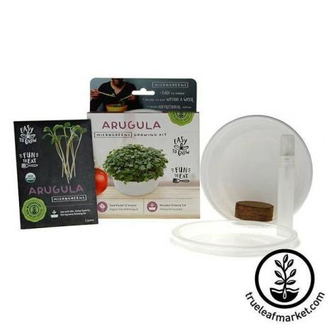 Kit de cultivo de microgreens de rúcula