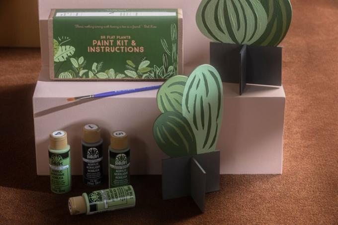 Scout Regalia Paint-by-Numbers Cactus Duo, $ 40