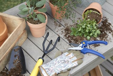 lista di controllo del giardinaggio