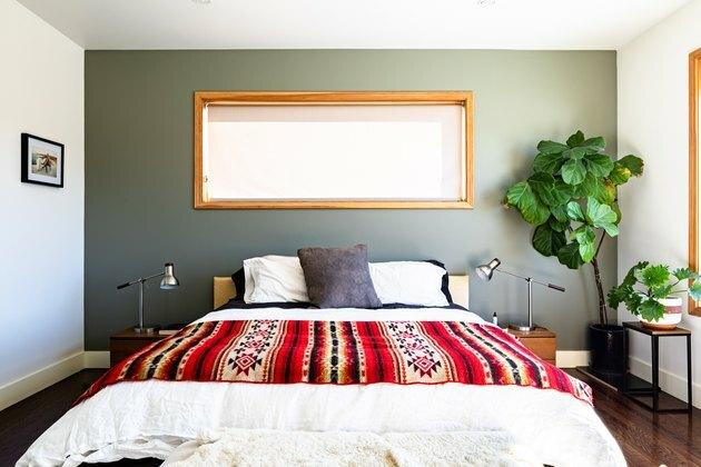 esquema de cores no quarto com uma planta grande, janelas com moldura de madeira e paredes branco-esverdeadas