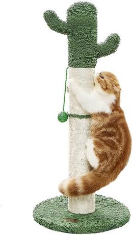 Agregue un toque divertido a su hogar con este rascador de cactus para gatos. Ideal para gatos de interior, está envuelto en una cuerda de sisal duradera para que los gatos puedan arañar durante todo el día.
