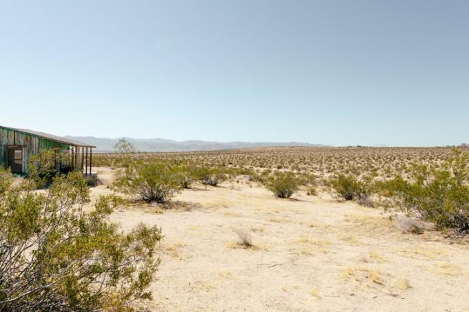 La vista ampia che guarda verso il Joshua Tree National Park.