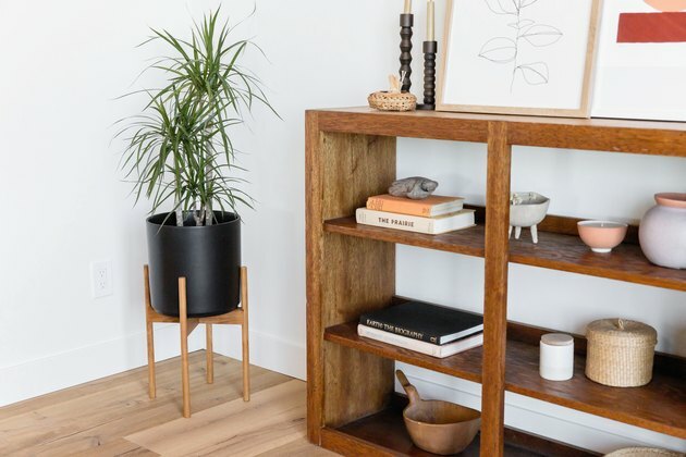 Moderne plantenbak met plant naast boekenplank