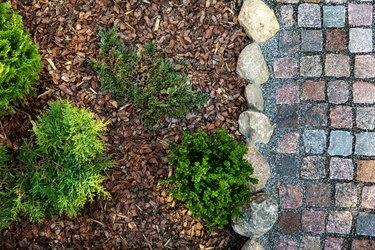 anlagd trädgård - mulched rabatt och kullerstensväg av granit. toppvy