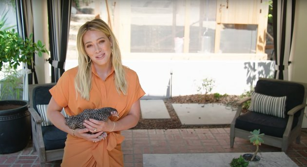 Hilary Duff nel patio del suo cortile con in mano un piccolo pollo