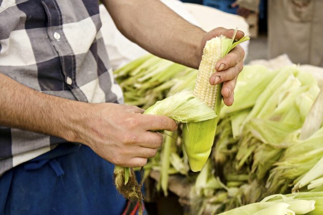 Peeling av menneskelig hånd med fersk mais