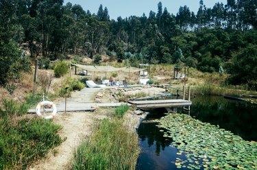 um pequeno lago com um cais, uma área para banho de sol e nenúfares