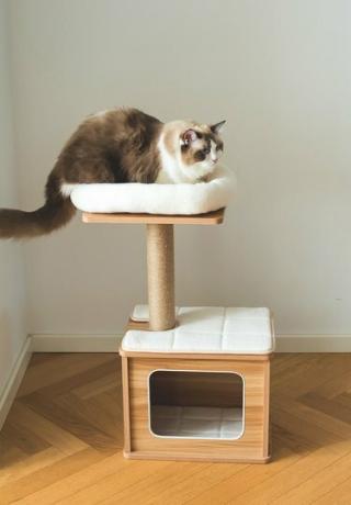 Tucker Murphy Pet 30 tuuman Malachy Cat Tree