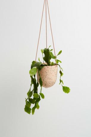 Capra Designs hangende terrazzo plantenbak, $ 59