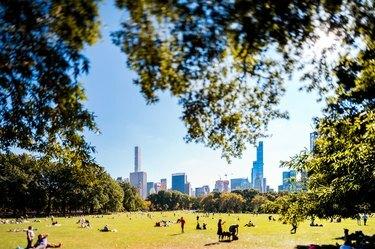 Central Park ja New York Skyline kirkkaana kesäpäivänä