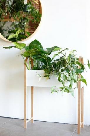 Plantador escandinavo
