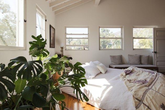 Quarto com janelas e plantas roupa de cama branca