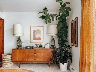 Fiddle Leaf Fig -kasvi, jossa on puinen senkki, retroa, vihreää ja neutraalia aksenttia.