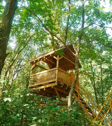 Treehouse a nyári erdőben. Fák, zöld levelekkel.