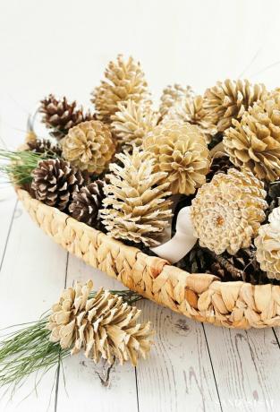 pinhas branqueadas em cesta para decoração