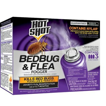 Hot Shot Bedbug and Flea Fogger produkts