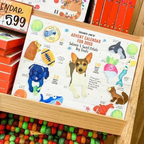 comerciante joes calendário do advento para cães