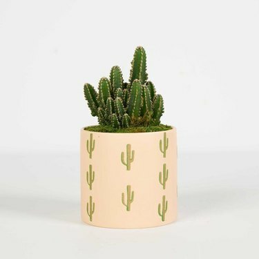 Dykumos pasaka, 44 USD