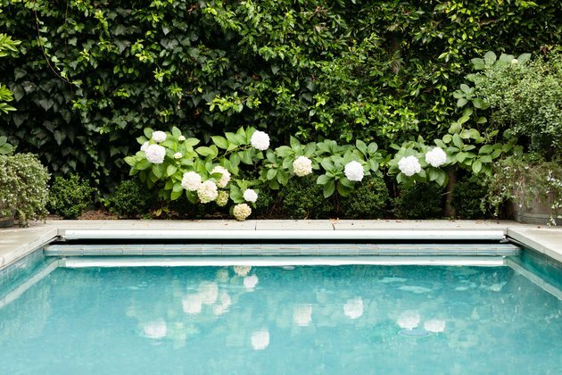 Idea all'aperto per cortile con piscina e paesaggio