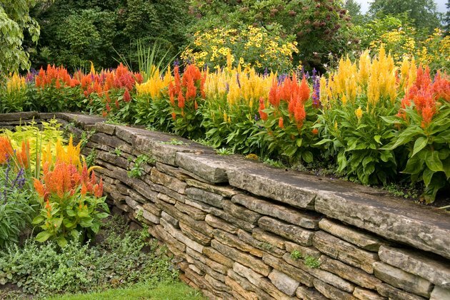 Jardin fleuri avec mur de pierre