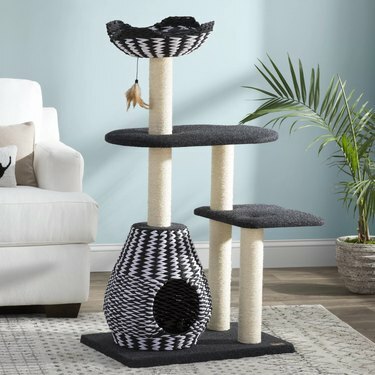 Archie & Oscar 49 tuuman Dexter Cat Tree