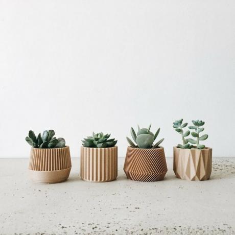 Best Planter Destinations Etsy