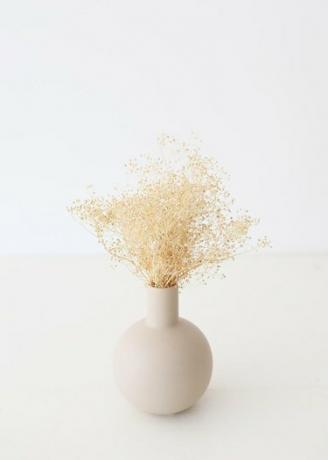 Neutralus džiovintų gėlių ir želdinių išdėstymas Natūralus įdegis Milijono žvaigždžių „Gypsophila“ natūralaus „Gypsophila Tan“ pluoštas Išsaugotas kūdikių kvėpavimas pumpurų vazoje, neutralios džiovintos gėlės ir žalumos išdėstymas Natūraliai išsaugotas milijonas žvaigždžių Gėlės