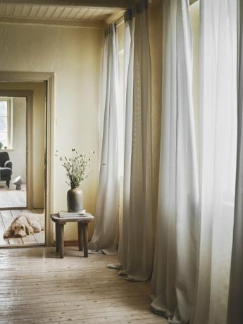Cortinas Purificadoras de Ar Gunrid na sala com cachorro